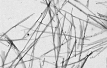 Towards tailored, biosourced biocides