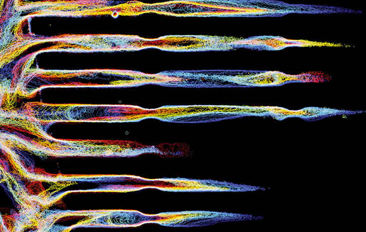 Contorsions cellulaires