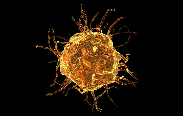 Mieux comprendre l’hétérogénéité fonctionnelle des macrophages humains