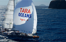 Tara Océans