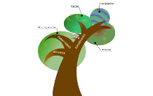 Les projets du Genoscope