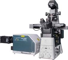 Confocal.jpg