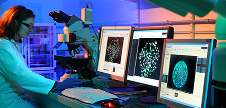 Acquisition d'images d'organoïdes par microscopie à épifluorescence. © P.Avavian/CEA Acquisition d'images d'organoïdes par microscopie à épifluorescence