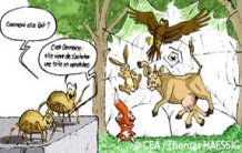 Les fils de Spiderman peuvent-ils exister ?