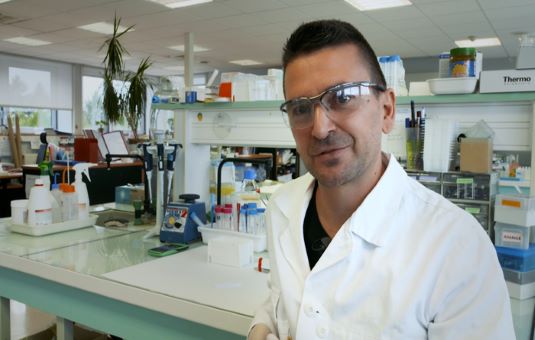 Hervé - Chercheur en immunoanalyse