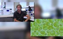 Métier - bioénergétique et biotechnologie