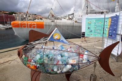 Tara à Banyuls